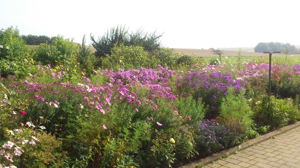 Ferienwohnungen Eichenhof Kapellen-Drusweiler Luaran gambar